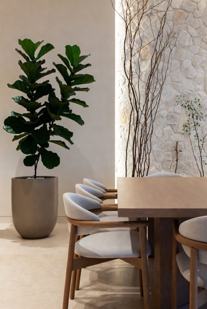 Fiddle Leaf Fig Plant and Wooden Accents in Modern Living Room Natural Warm Interior Design